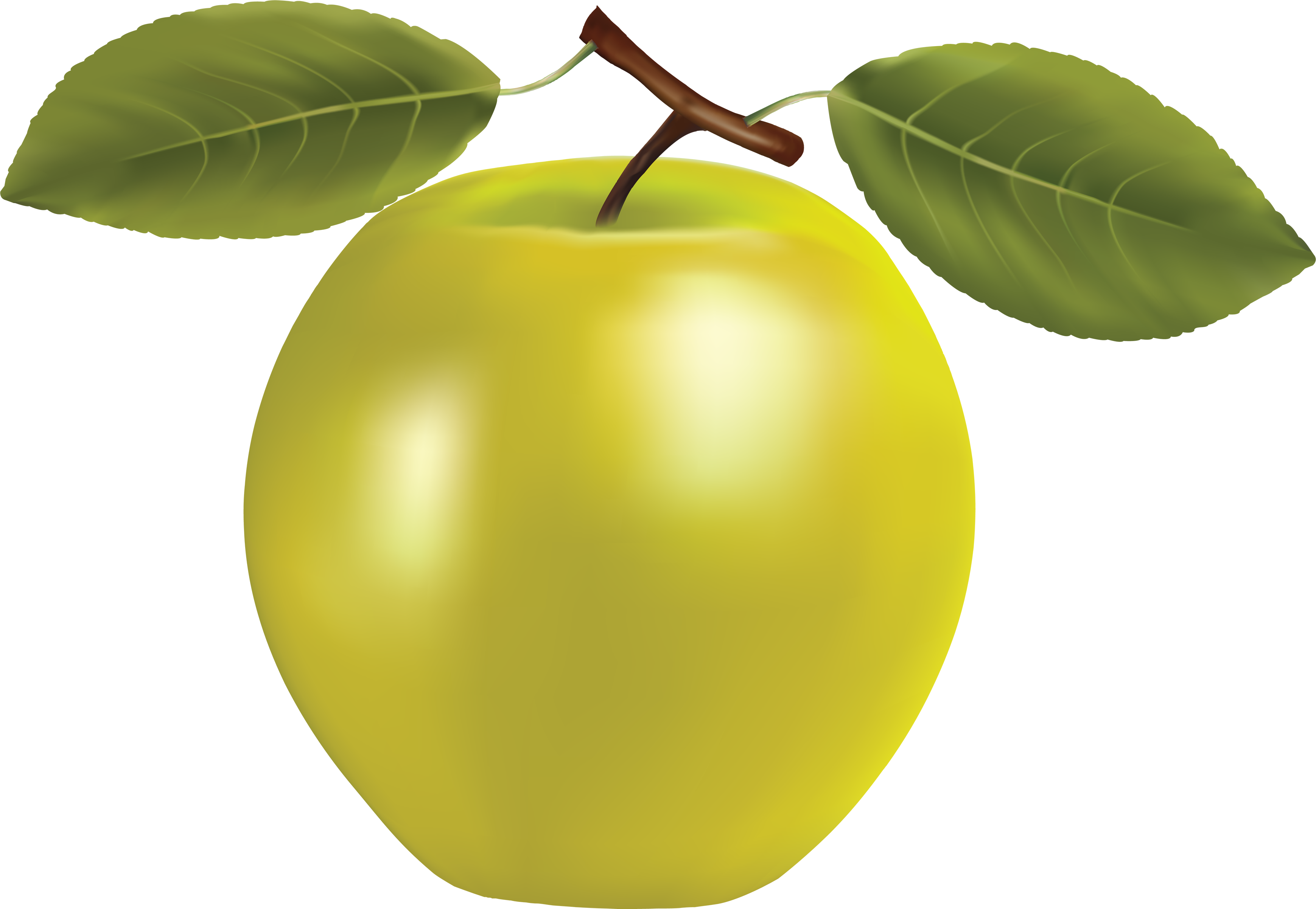 Yellow Png Apple Image Free Apple Png Picture Clipart   Yellow Png    