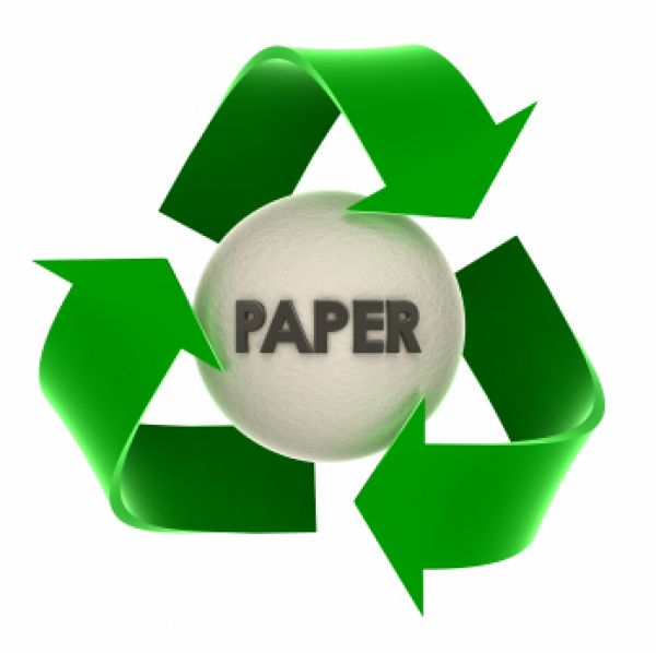 The Profit Of Paper Recycling  Why Recycle Paper    Jpp Far East  S