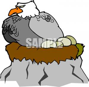 An Eagle On Its Nest Clipart Picture