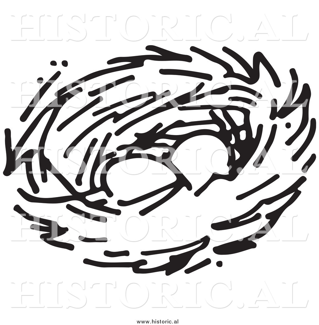 Clipart Of Two Eggs In A Bird Nest   Black And White Drawing By Al