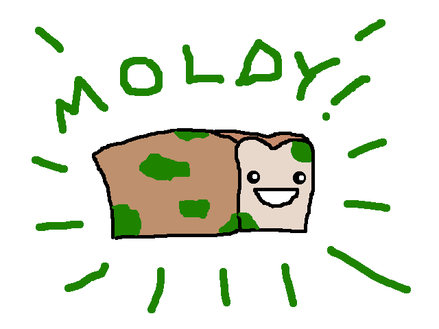 Moldy Bread Can Illustrate A Lot Of Things