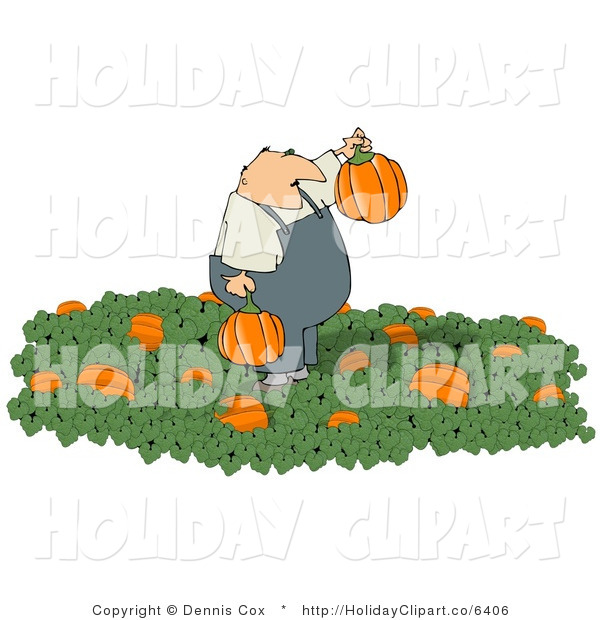 Clip Art Of An Obese Farmer Picking Halloween Pumpkins From A Pumpkin