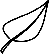 Leaf Clipart Black And White Leaf Black And White Png