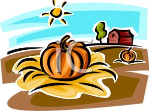 Pumpkin In The Patch On A Farm Clipart Picture