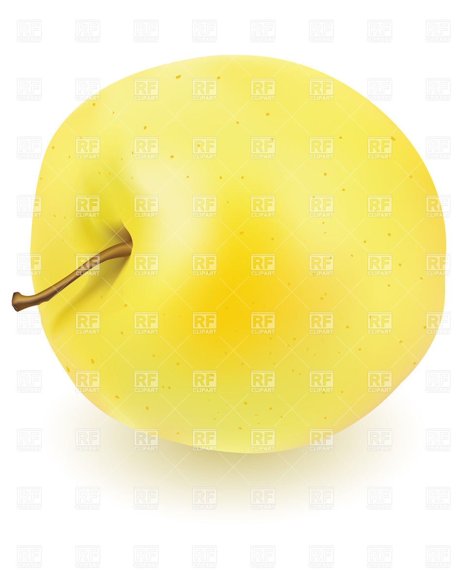 Fresh Yellow Apple On White Background Download Royalty Free Vector    