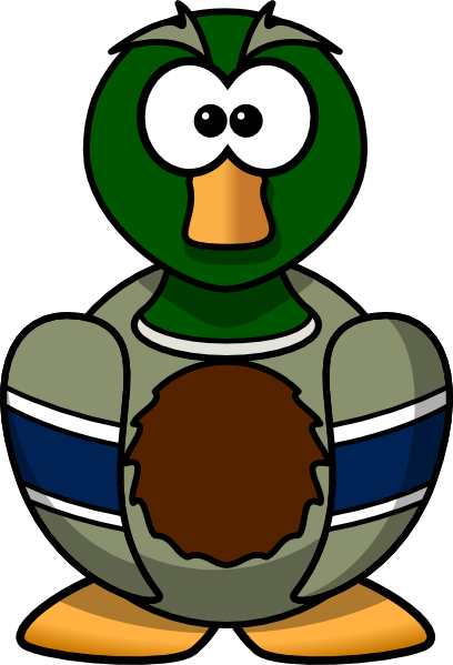 Wood Duck Clipart   Clipart Panda   Free Clipart Images