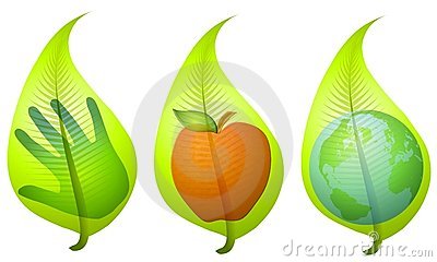 An Illustration Featuring Your Choice Of 3 Leaf Graphics Each With An