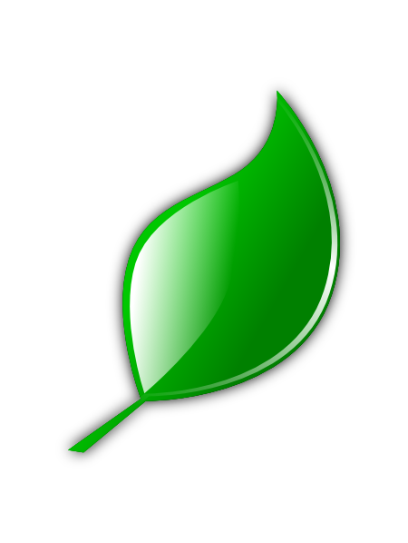 Green Leaf Clip Art At Clker Com   Vector Clip Art Online Royalty