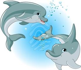 Dolphins Dolphins Are Related To Whales And Porpoises Dolphins Are