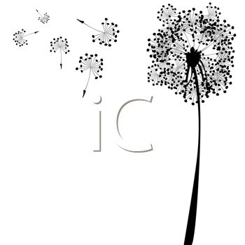Dandelion And Seeds In Silhouette As A Wish Is Made   Royalty Free