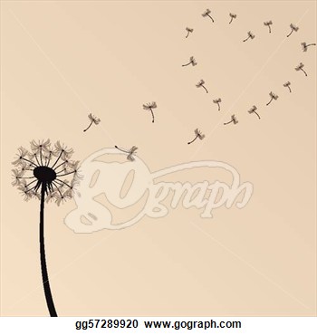 Eps Vector   Dandelion Illustration  Stock Clipart Illustration