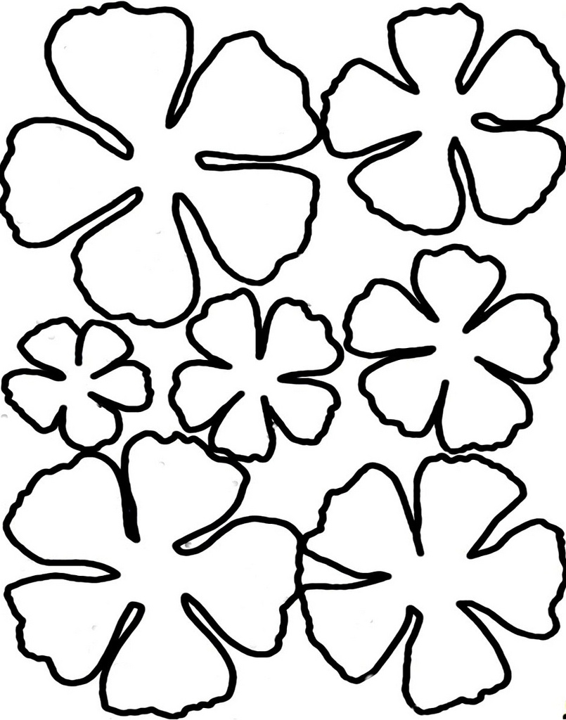 10 Printable Flower Petal Template Pattern Free Cliparts That You Can