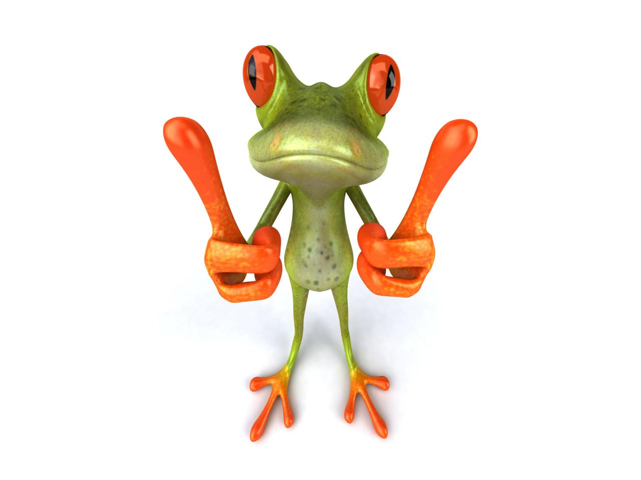 Frog Wallpaper Download Free Widescreen Hd Cute  3540  Animal