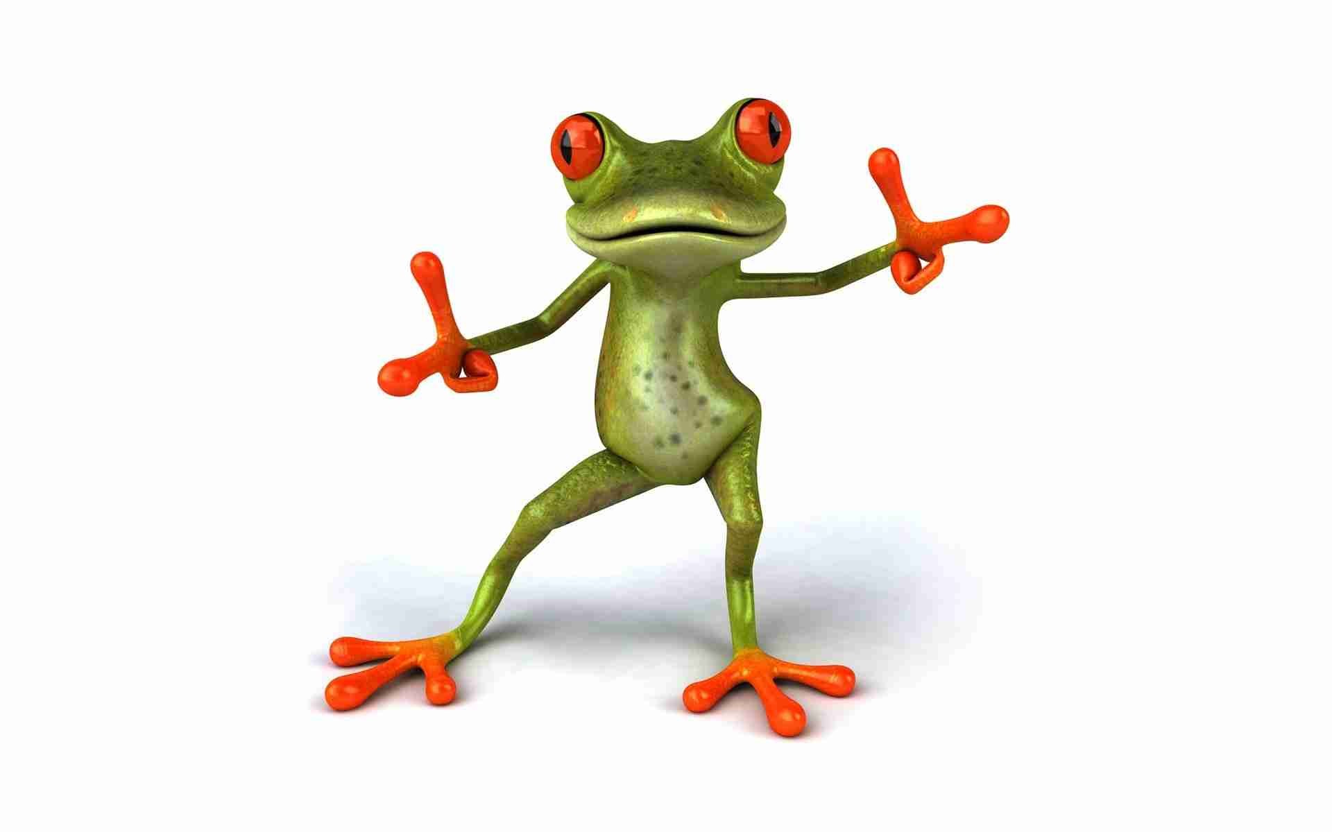 Funny Baby Animals Wallpapers Colorful Frog Cute Frogs Picture    