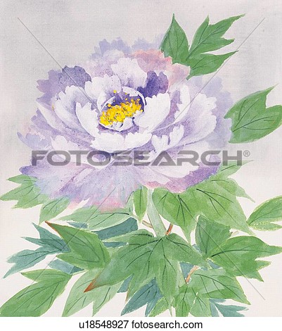 Stock Illustration   Peony Close Up  Fotosearch   Search Eps Clipart