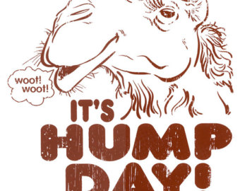 Geico Camel Hump Day Clipart   Cliparthut   Free Clipart