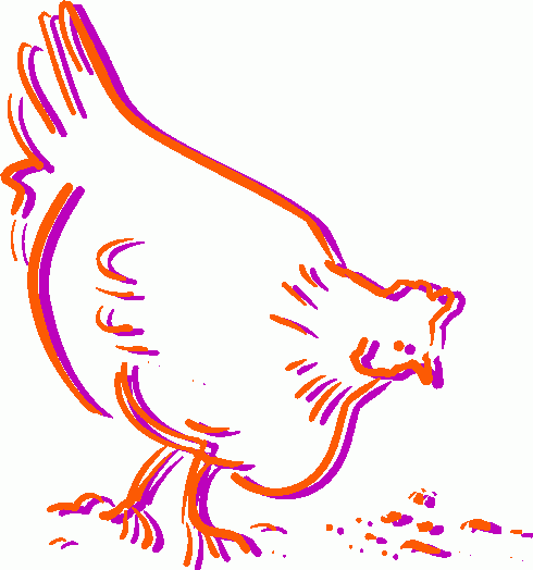 Chicken Clipart Clip Art