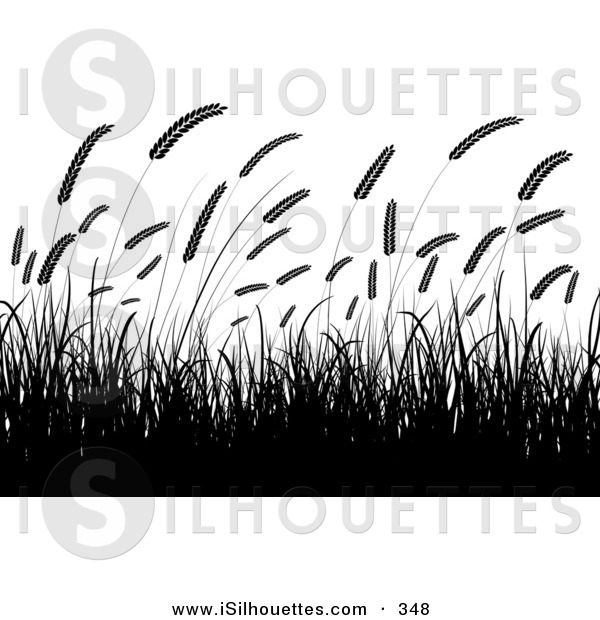 Clipart Of A Field Of Silhouetted Wheat Grasses Waving In A Crop