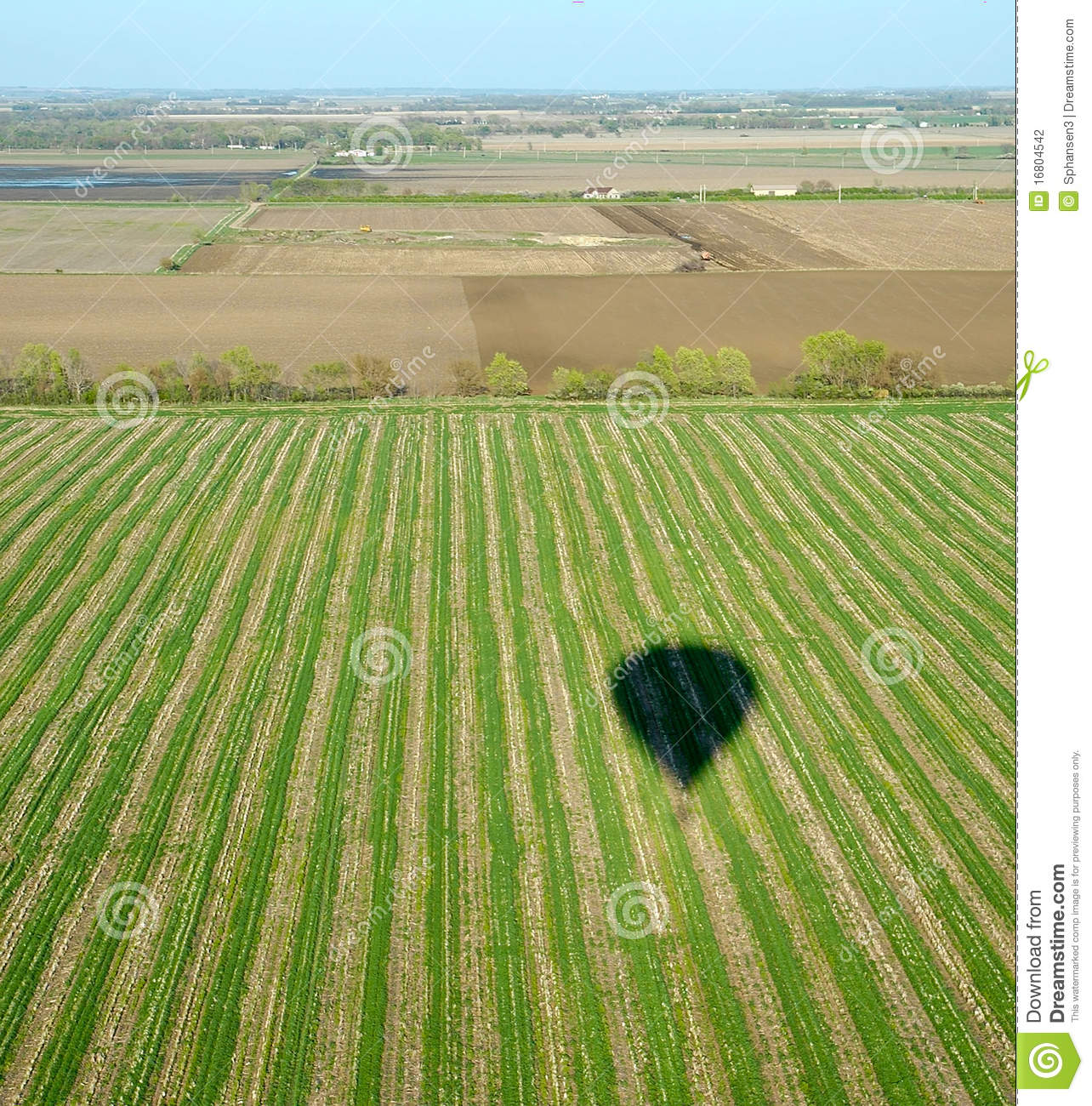 Crop Field Clipart Shadow Over Row Crop Field
