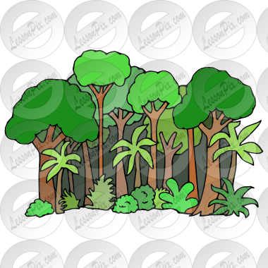 Picture For Classroom   Therapy Use   Great Rainforest Clipart