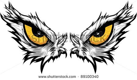 Cartoon Vector Mascot Image Of An Eagle Eyes   Stock Vector