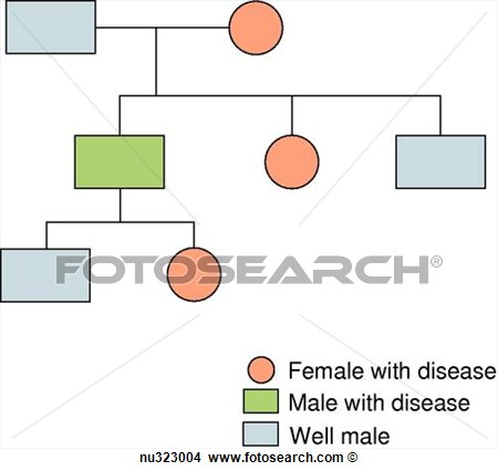 Orange Circle Indicates Female With Disease  View Large Illustration