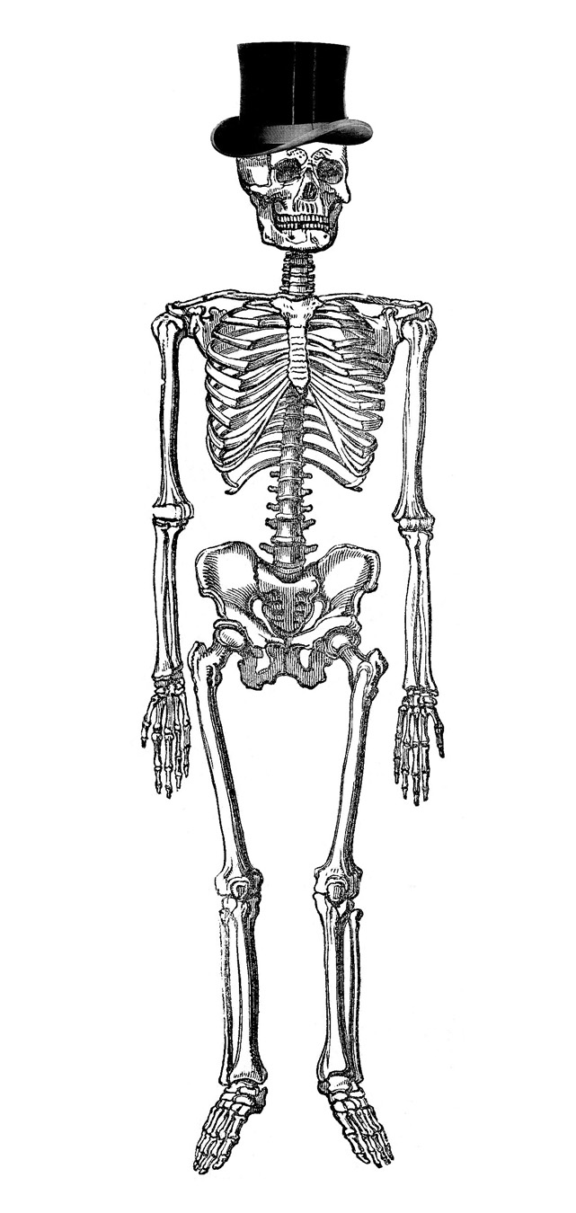 Vintage Halloween Clip Art   Fancy Skeleton Man   The Graphics Fairy