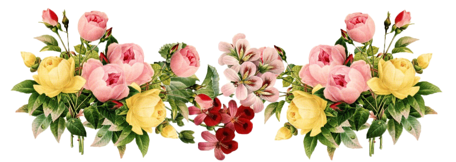 29 Vintage Flower Png   Free Cliparts That You Can Download To You    