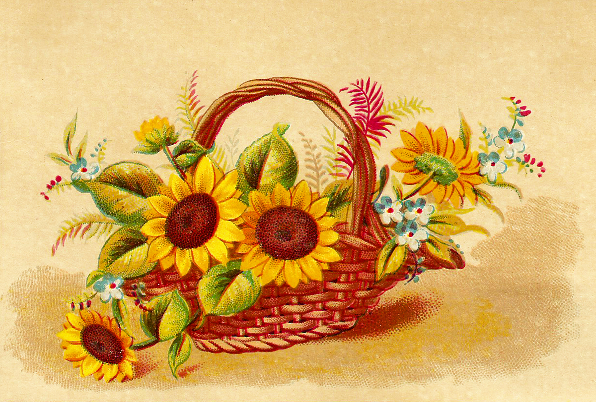 Catnipstudiocollage   Free Vintage Clip Art   Basket Of Sunflowers    