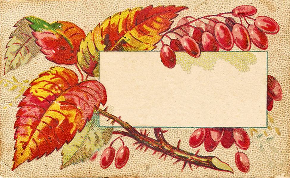 Free Vintage Clip Art   Autumn Leaves Calling Cards