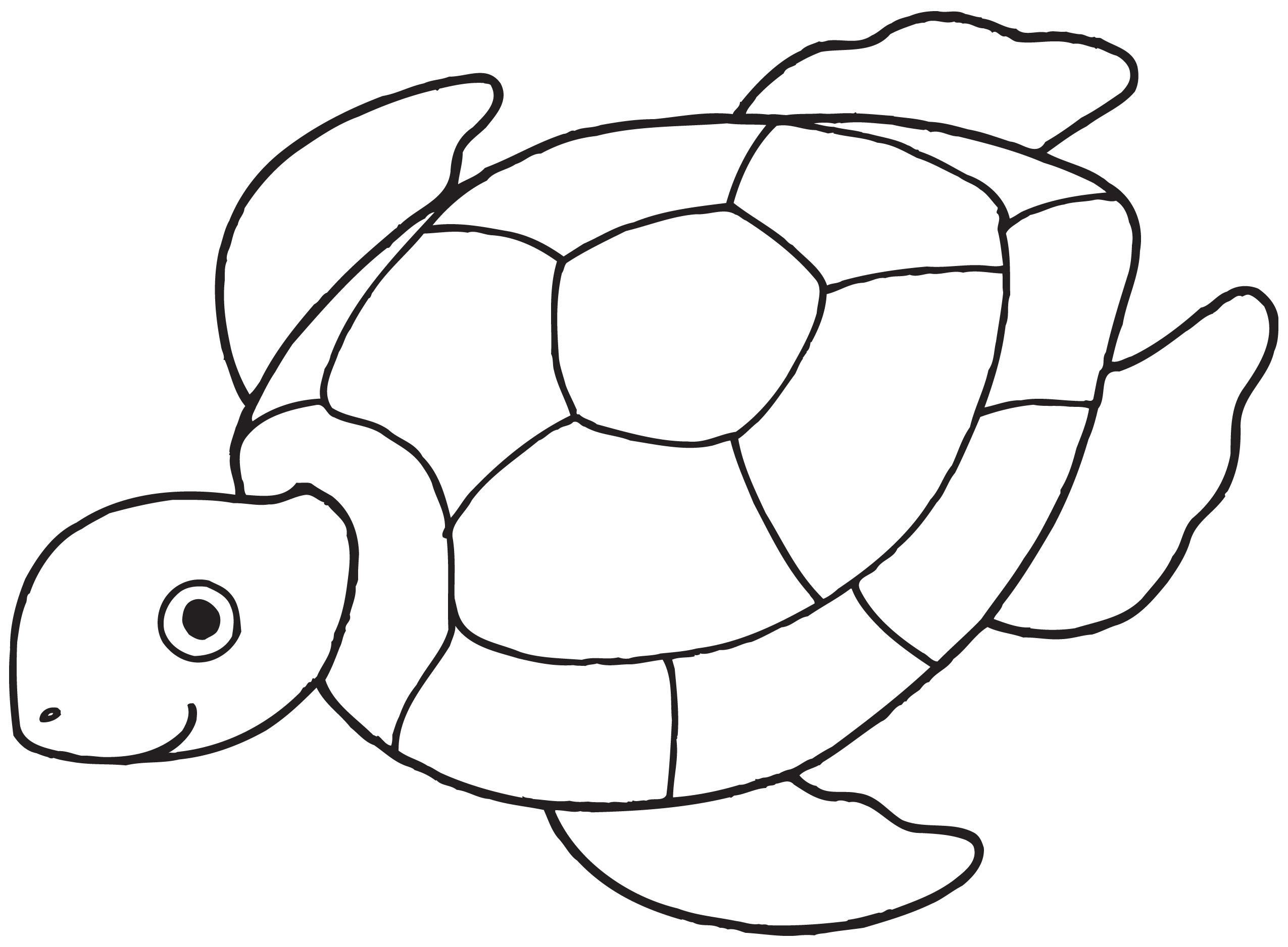 Free Black And White Sea Turtle Clipart   Clipart Best