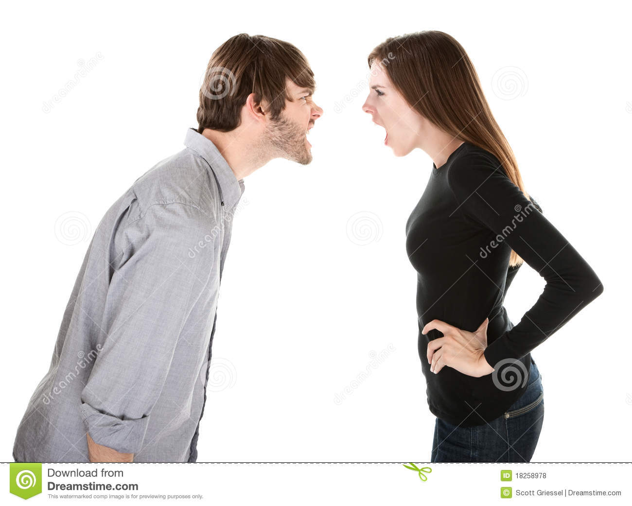 Heated Argument Royalty Free Stock Photos   Image  18258978