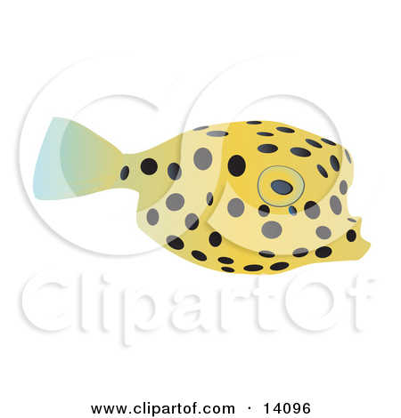 Cute Yellow Pufferfish With Black Spots