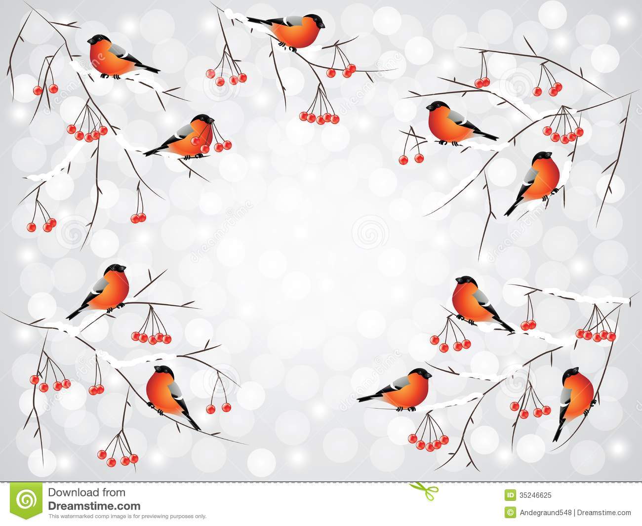 Bullfinch Birds On Branches Winter Background Royalty Free Stock Photo