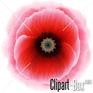 Related Red Poppy Flower Cliparts