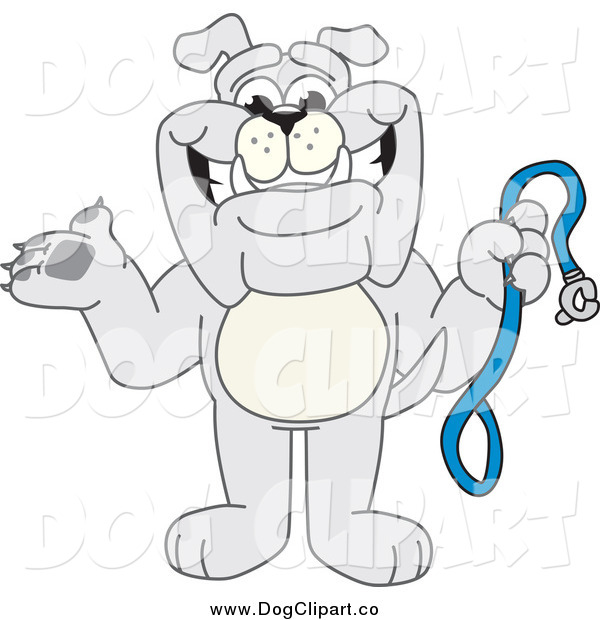 Cartoon Clip Art Of A Bulldog Holding A Leash By Toons4biz    2527