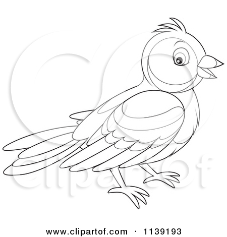 Cartoon Of A Cute Black And White Bird   Vector Clipart By Alex