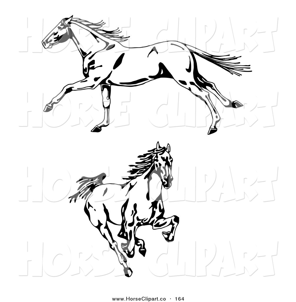 Clip Art Clip Art Of Two Galloping Wild Stallion Horses One In Profile