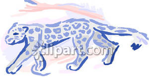 Snow Leopard Cup Walking   Royalty Free Clipart Picture