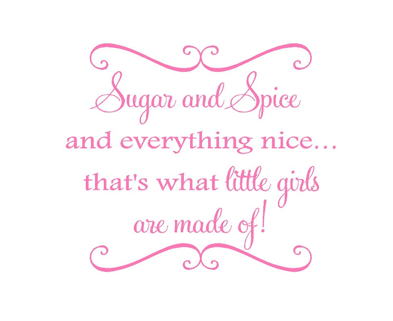 Sugar And Spice And Everything Nice Vinyl By Openheartcreations