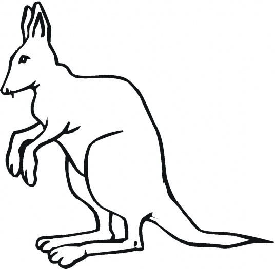 Kangaroo Outline   Clipart Best   Cliparts Co