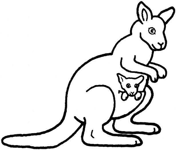 Kangaroos Coloring Pages   Super Coloring