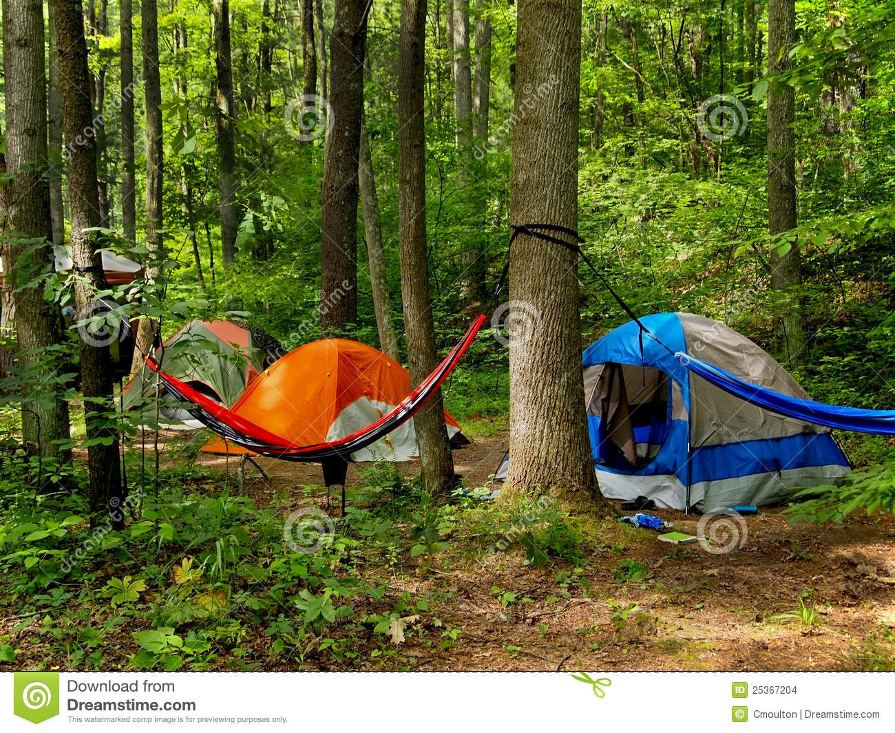 Camping In The Woods Stock Images   Image  25367204