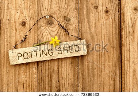 Potting Shed Sign On Wooden Background With Daffodil Flower   Stock    