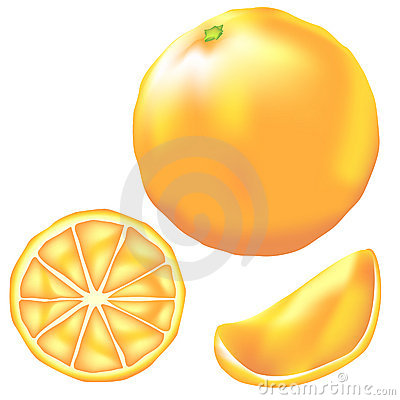 Whole Orange Slice And Wedge In Vector Stock Image   Image  8678421