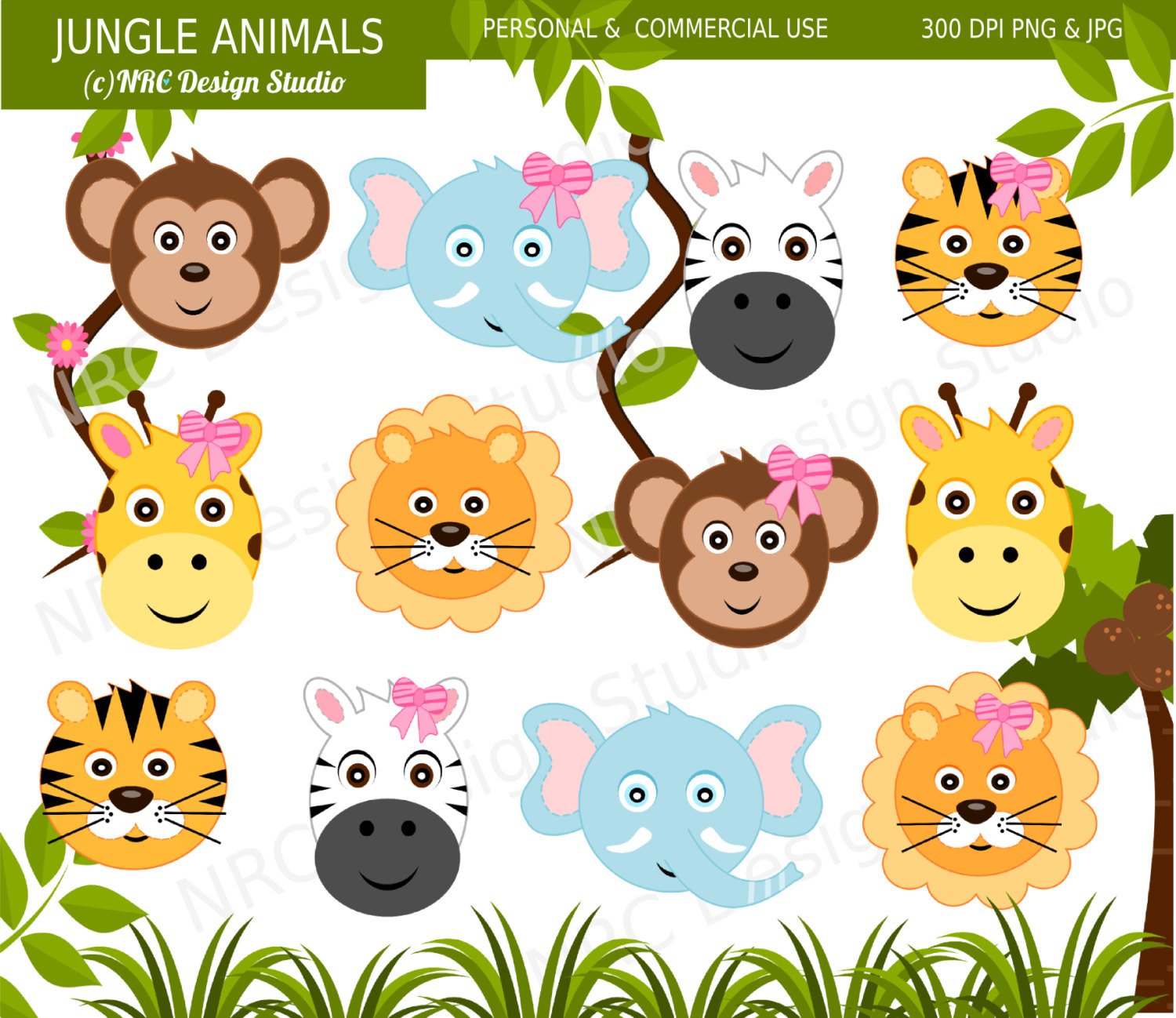 Safari Animals Clip Art Cute Jungle Animal By Nrcdesignstudio