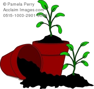 Clip Art Image Of Cartoon Soil And Seedlings In Pots   Acclaim Stock