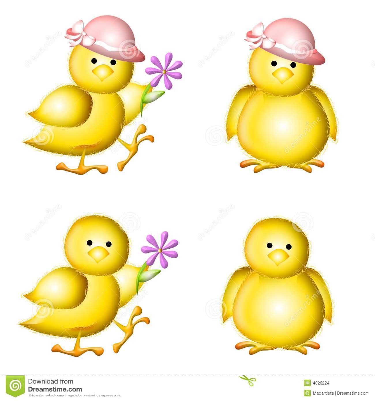 Chicks Wearing Hats And Holding Flowers Isolated For Easy Placement