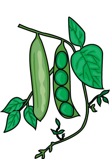 15 String Bean Clip Art Free Cliparts That You Can Download To You