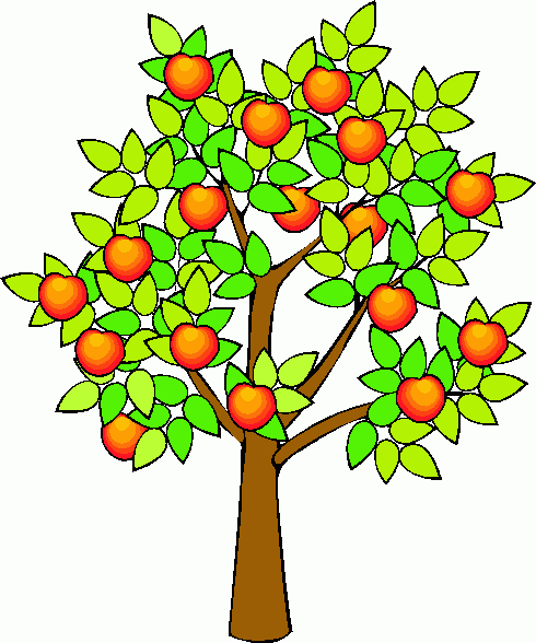 Orange Tree Orchard   Clipart Panda   Free Clipart Images